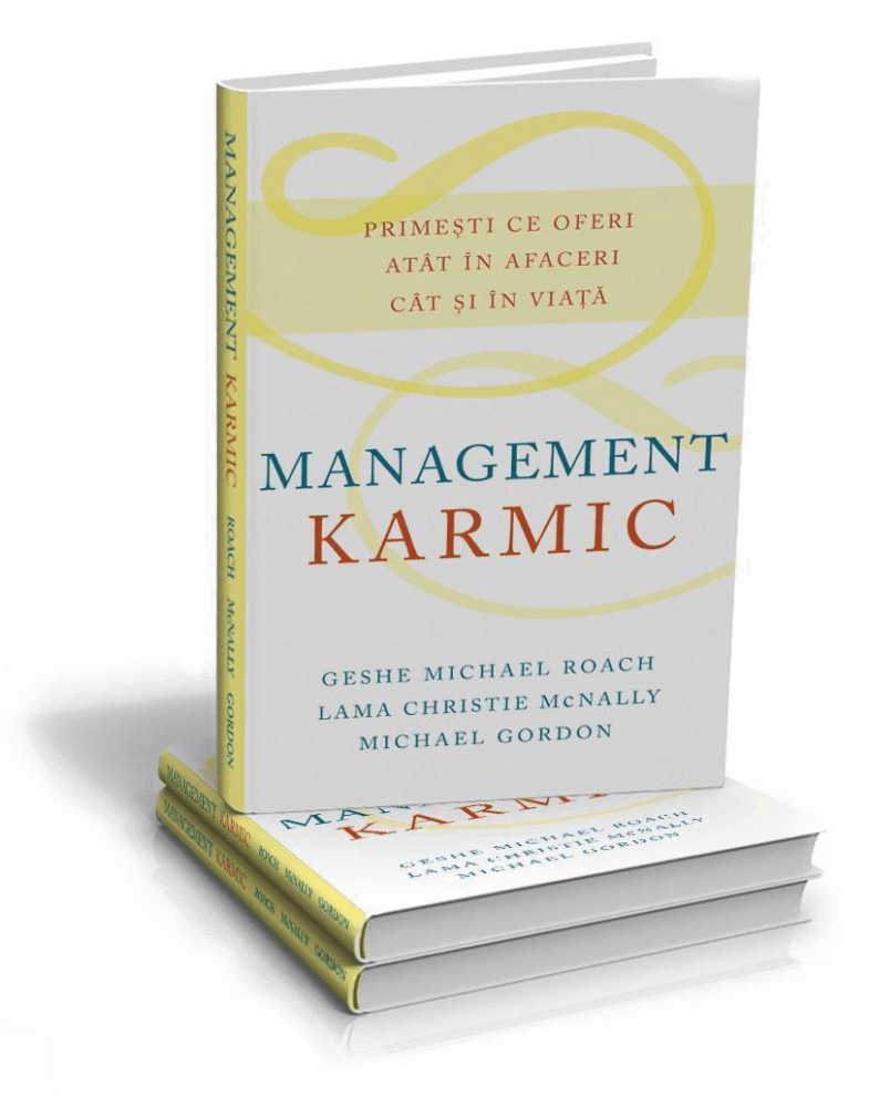 Management karmic, Geshe Michael Roach, Vidia