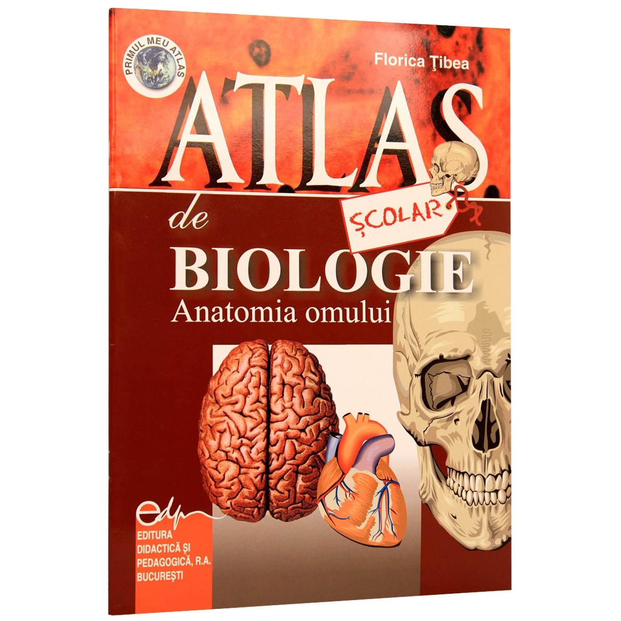 Atlas Scolar de Biologie-Anatomia Omului, Florica Tibea, Editura Didactica Si Pedagogica