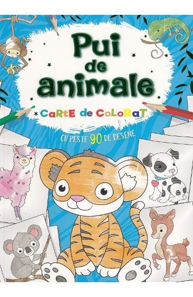 Pui de animale. Carte de colorat, Flamingo